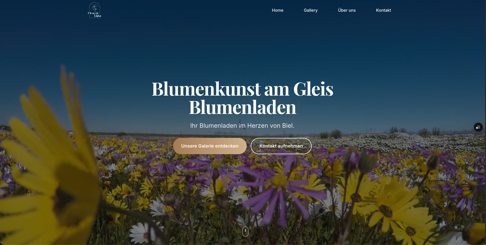 FleurDeLiza - Modern Flower Shop Website Preview